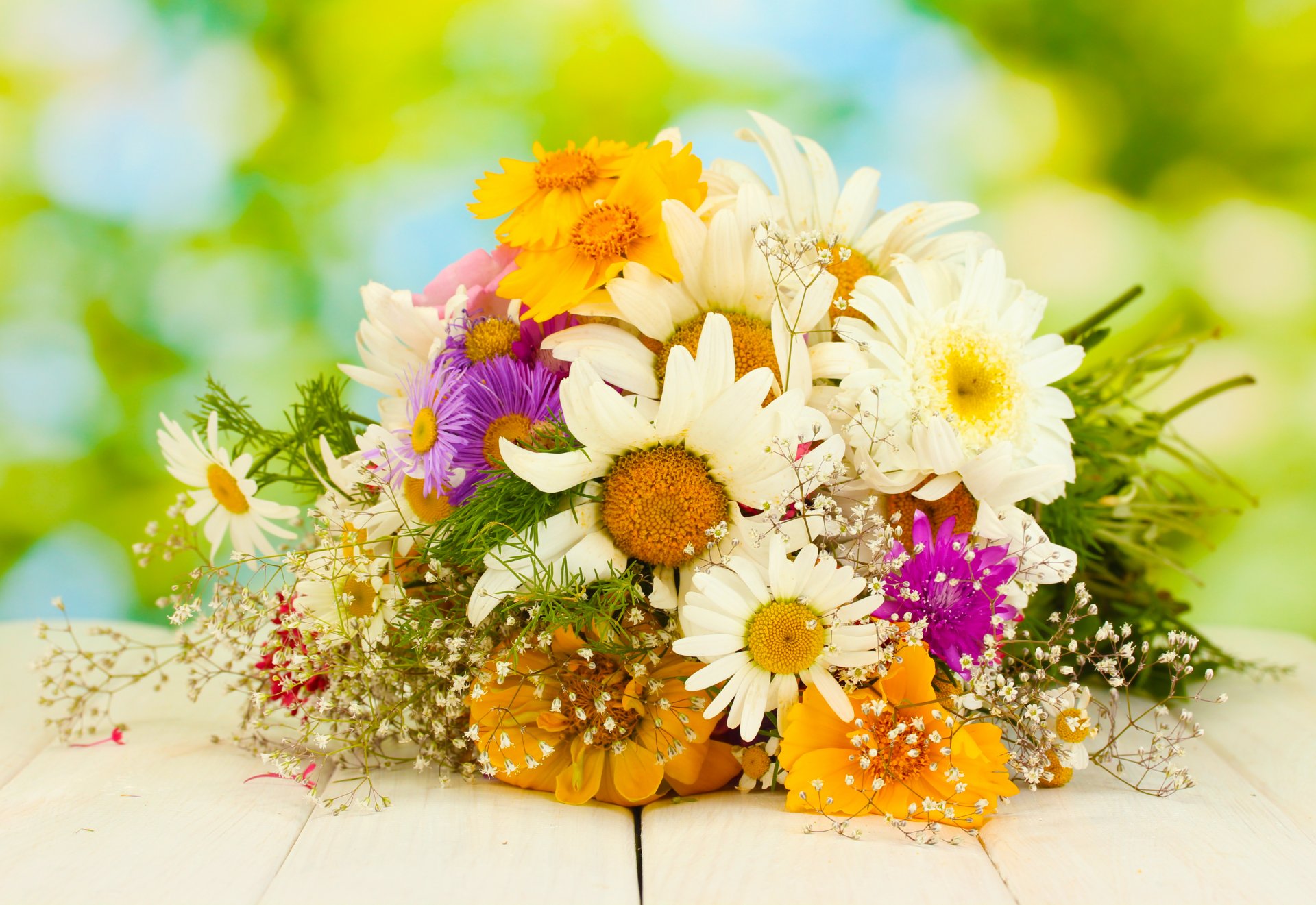 bouquet chamomile gerbera