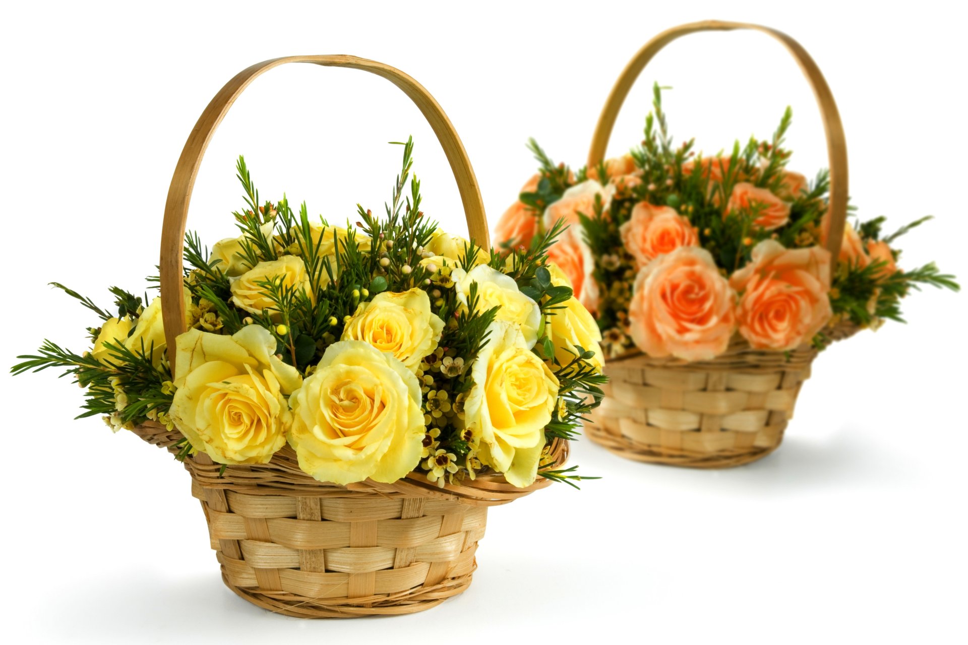 roses fleurs jaune rose bouquets paniers paniers fond blanc