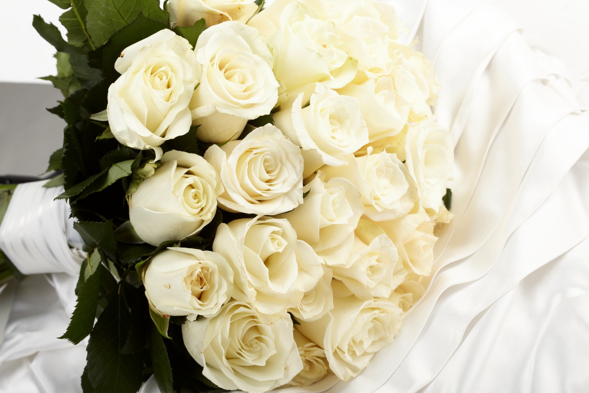 roses white flower bouquet cloth