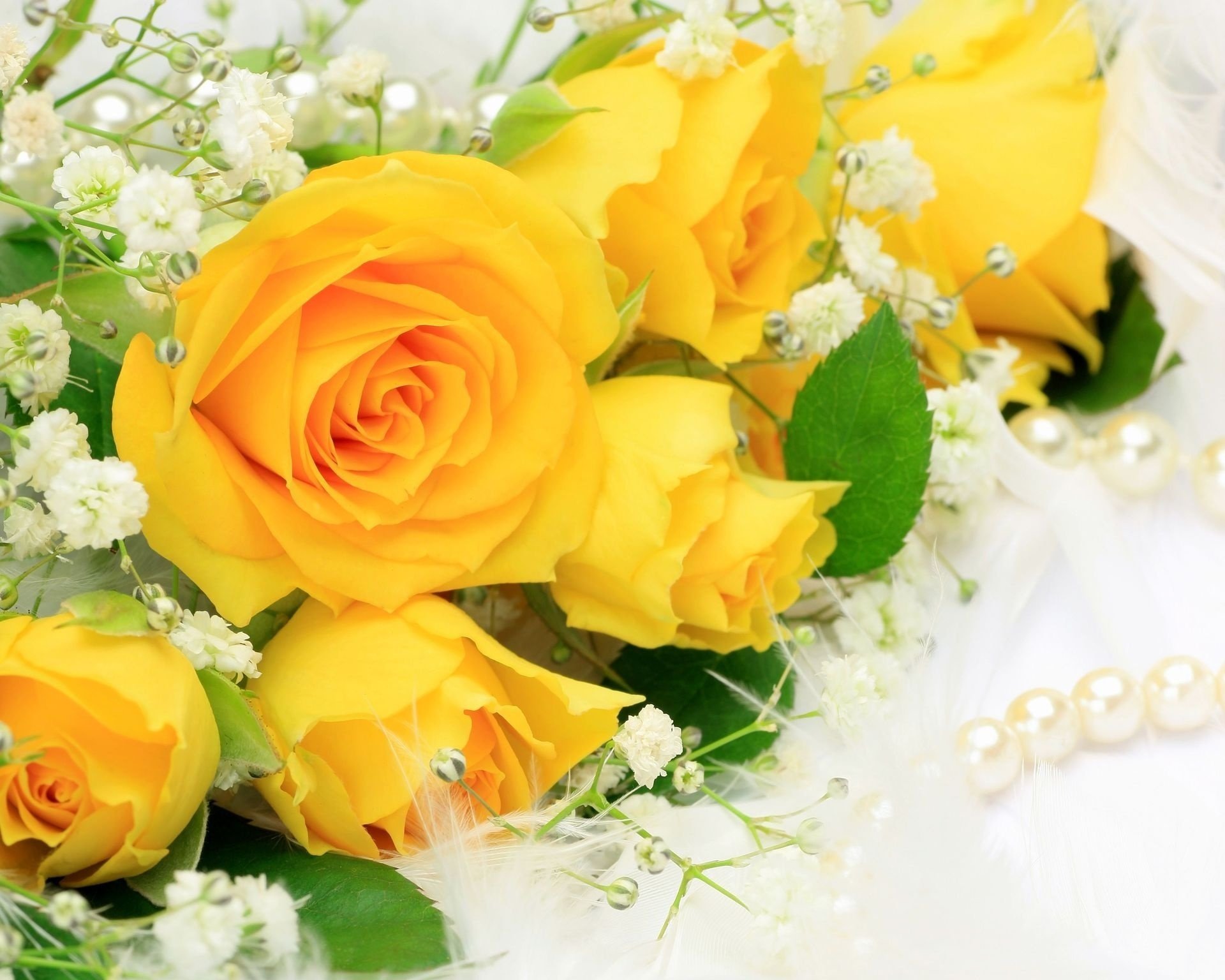 rosas amarillo flores flor hermoso ramo perla perla cuentas capullos pétalos