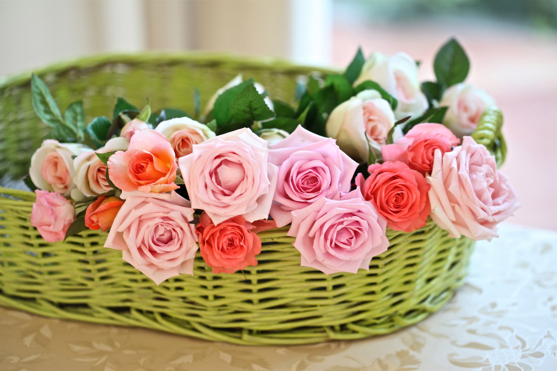 roses buds shopping © elena di guardo