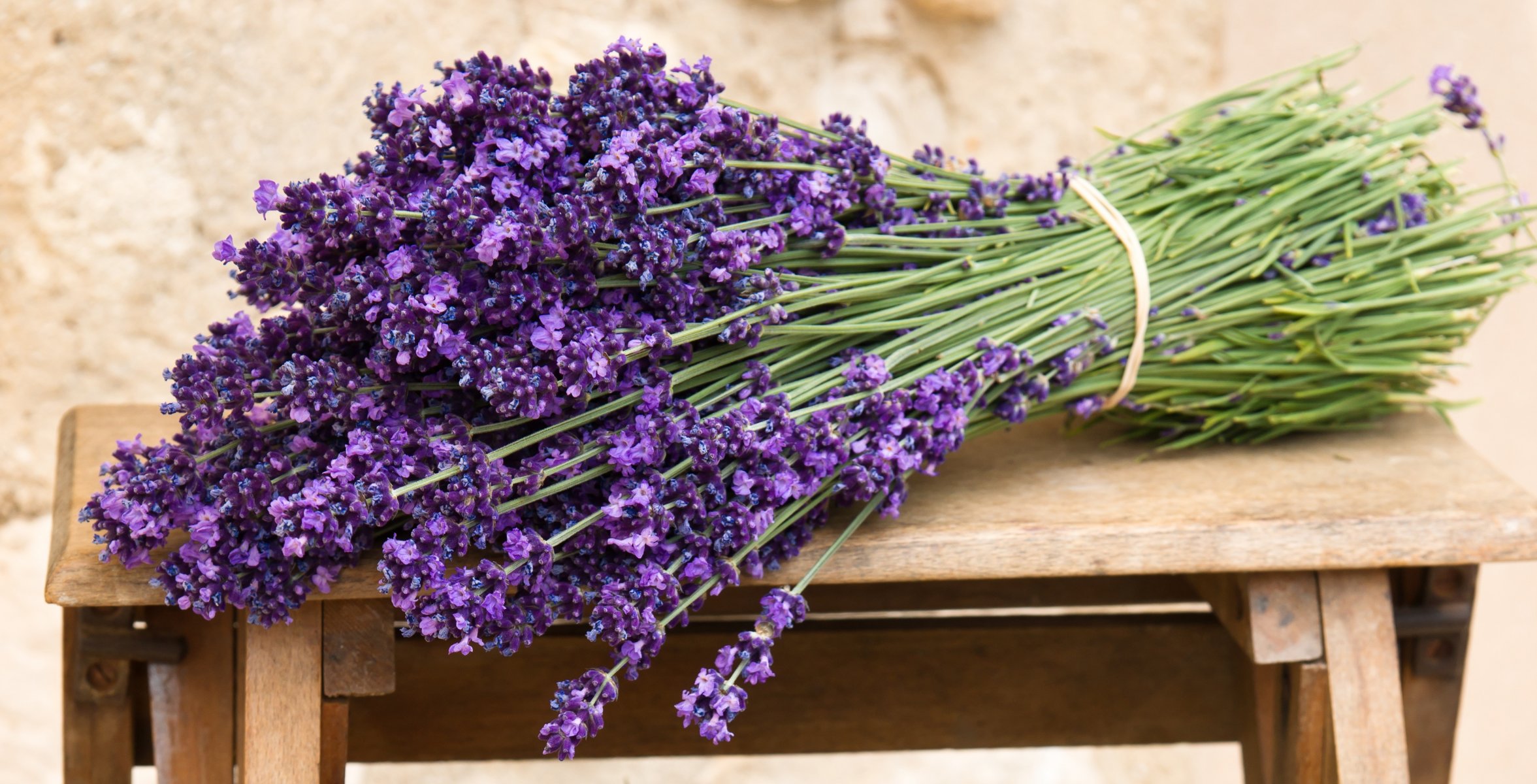 lavanda fiori bouquet panca