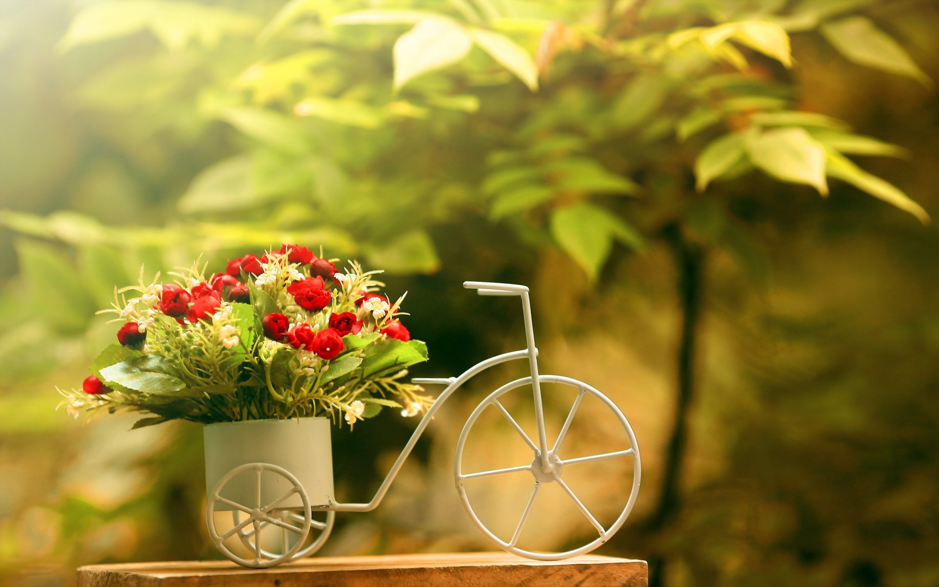 blumen rosen fahrrad hintergrund