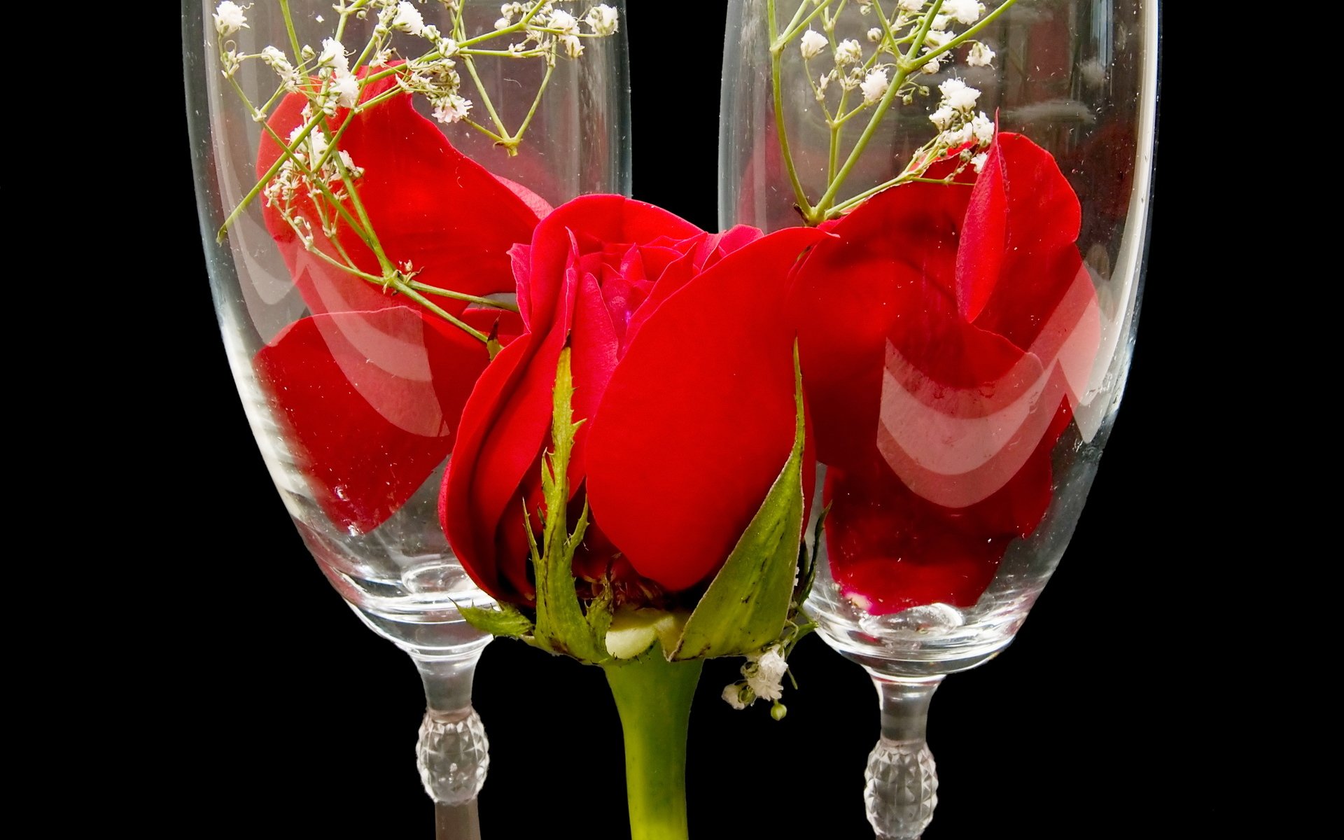 С днем рождения бокал вина. Цветы в бокале. Романтические цветы. Красивые бокалы.