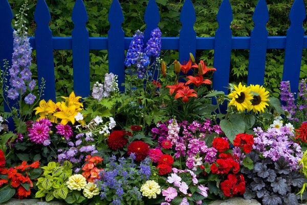 Polisadnik con flores de Dalias y girasoles