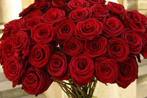 Enorme mazzo di rose rosse