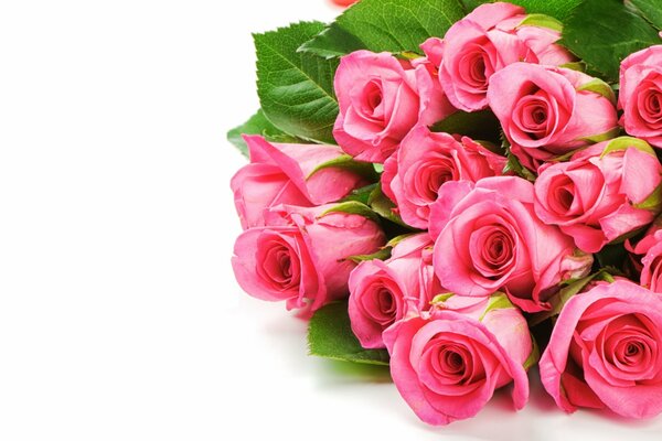 Bouquet di rose rosa brillante