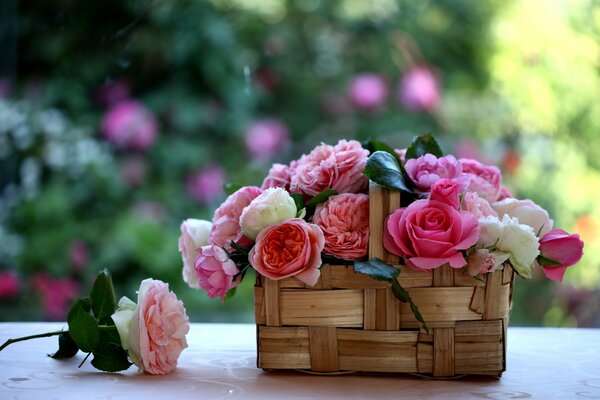 Panier ou panier de roses à l intérieur