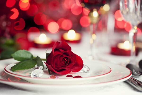 A rose on a plate with candles