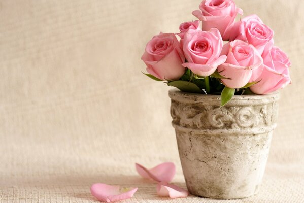 Petals of delicate pink flowers fell from a bouquet in a pot