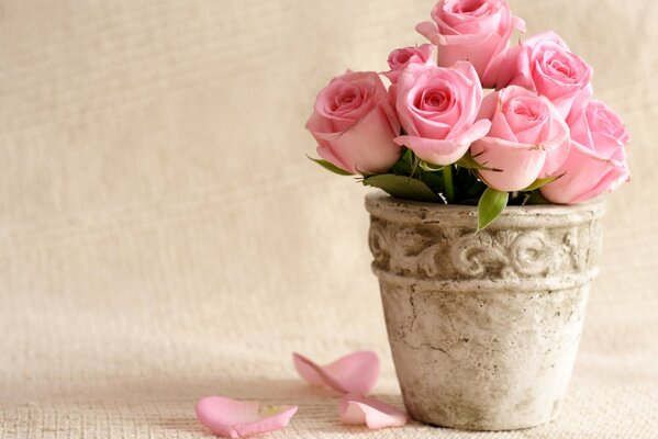 Petali di delicati fiori rosa sbriciolati da un bouquet in vaso