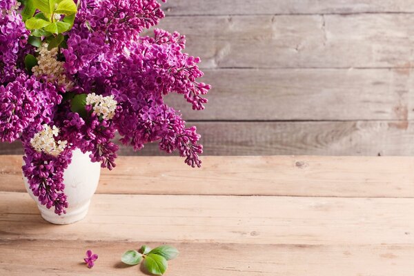 Trouvez les cinq pétales de lilas heureux