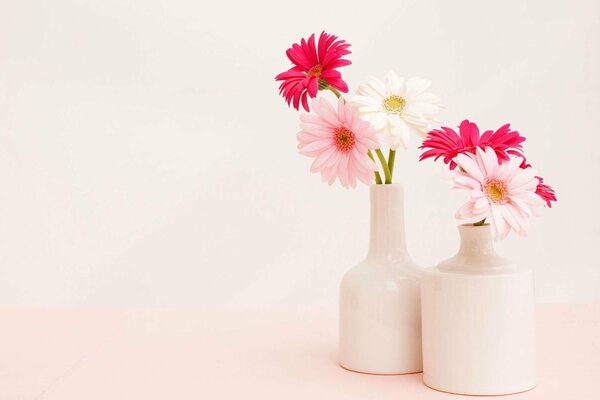 Deux bouquets de Gerber multicolores dans des vases blancs