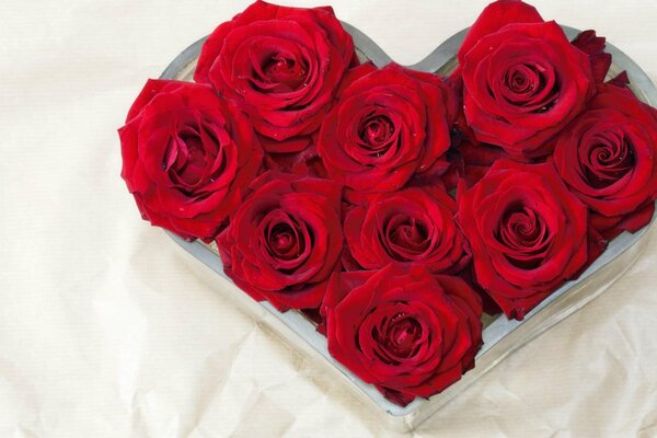 Ramo de rosas escarlata en Caja de regalo en forma de corazón sobre fondo blanco