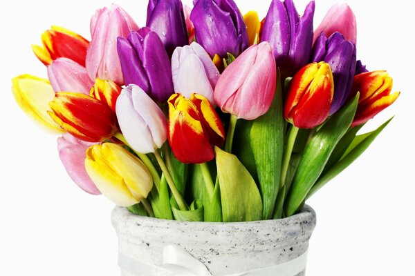 Charming bouquet of tulips in a pot