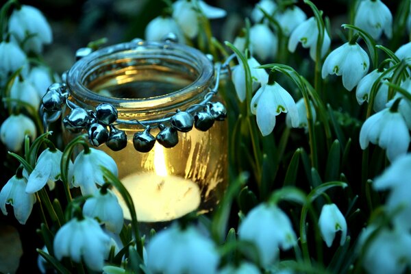 Brennende Kerze in einem Glas unter Frühlingsschnegglöckchen