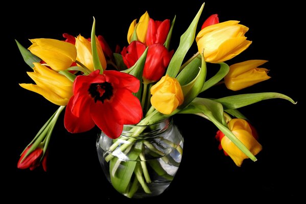 Букет ярких тюльпанов на черном фоне