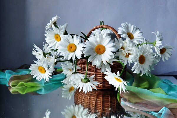 Marguerites des champs dans un panier