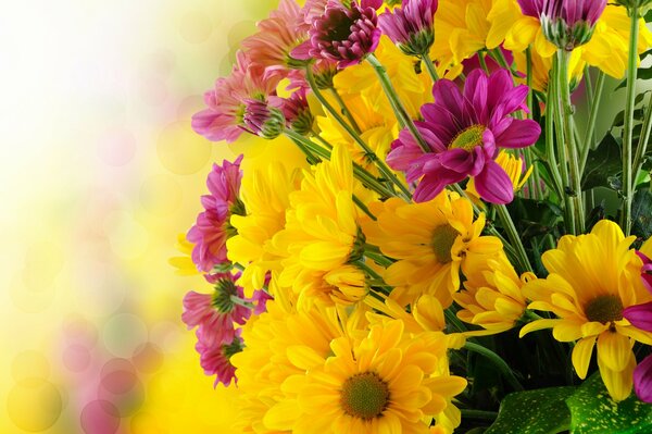 Heller Blumenstrauß mit gelben und lila Blüten