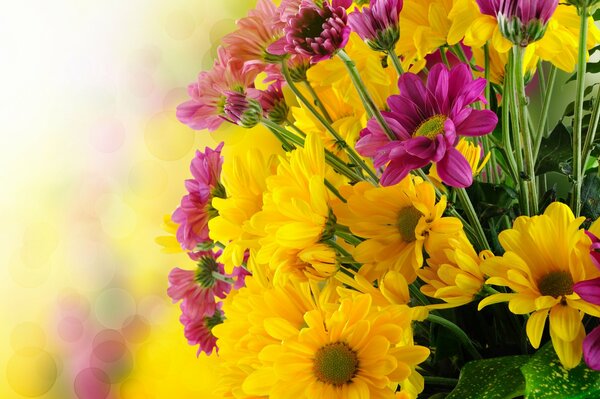 A bright bouquet with yellow and lilac flowers