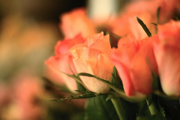 Foto von rosa Rosen in einem Blumenstrauß