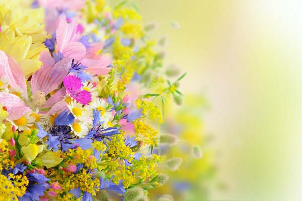 Bouquet d été de marguerites avec des gouttes