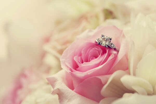 Rose flower pink inside ring