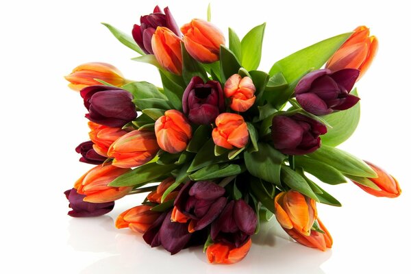 Bouquet of colorful spring tulips