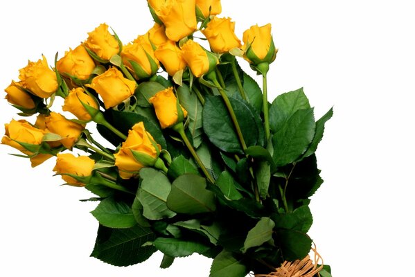 A large bouquet of yellow roses