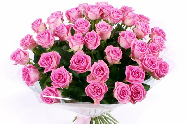 Bouquet of pink flowers on a white background