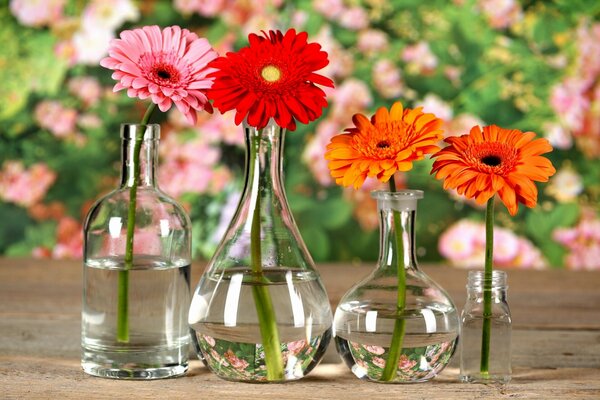 Four different vases with four flowers