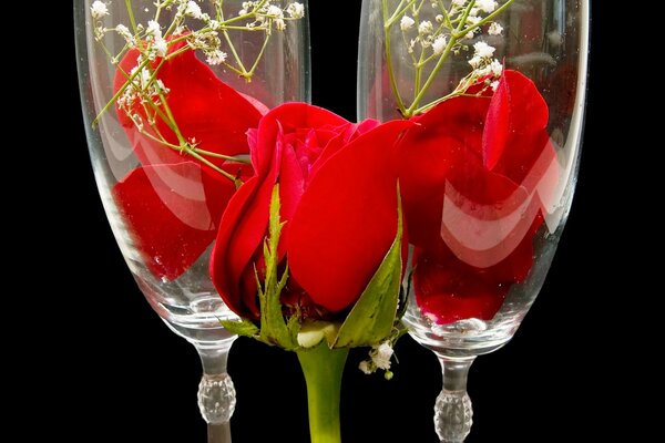 Rote Rose auf dem Hintergrund von Weingläsern mit ihren Blütenblättern