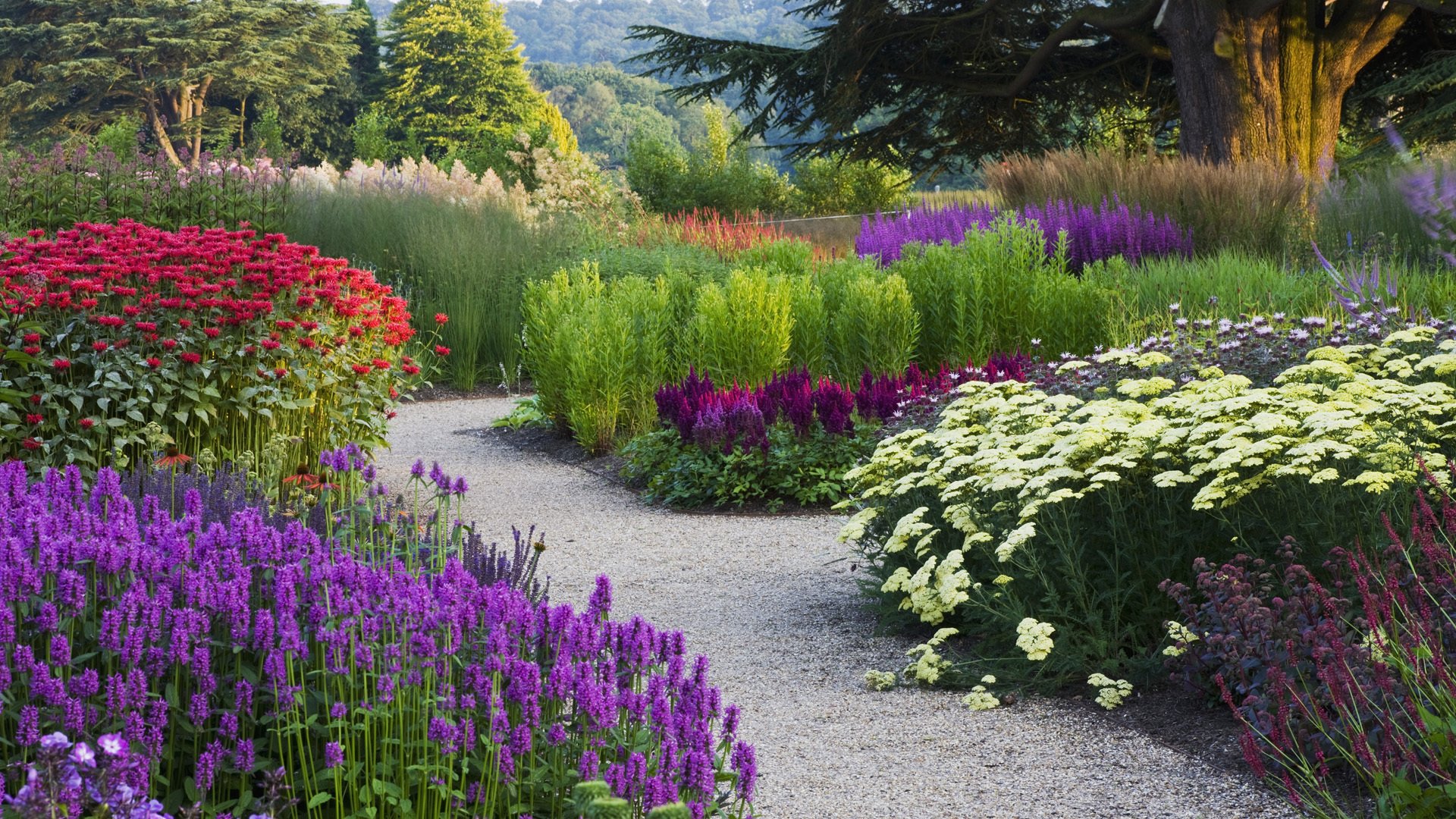 fleurs parc jardin divers arbres passerelle chemin