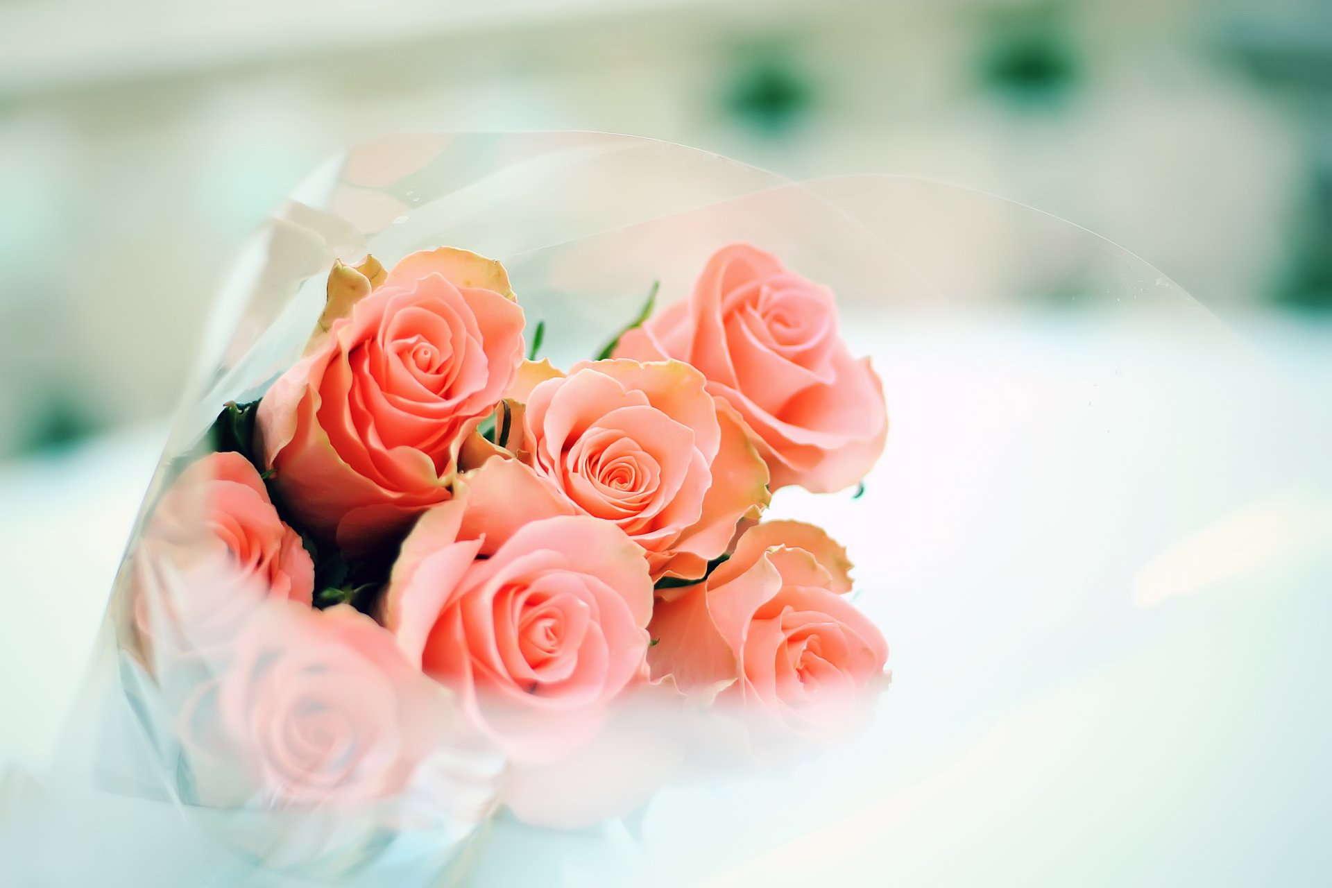 roses bouquet tendresse