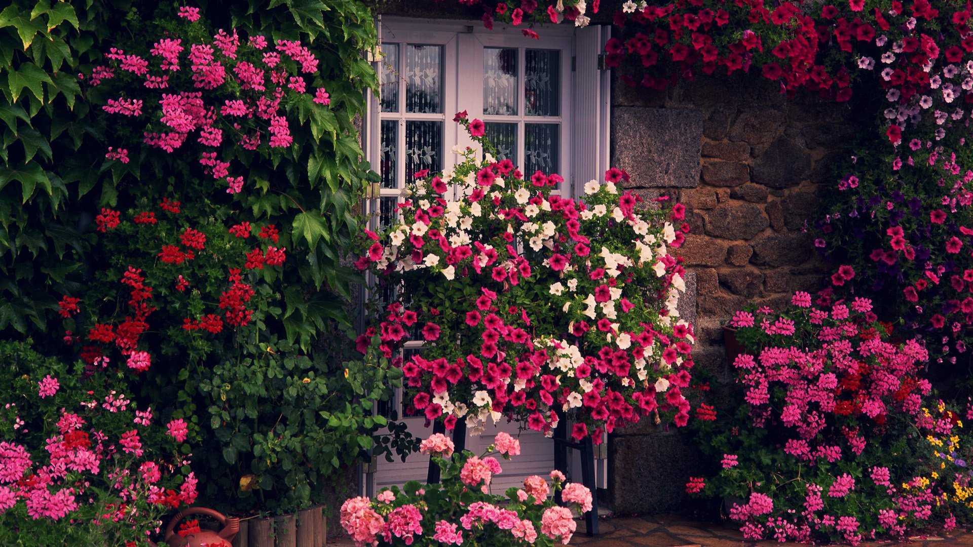 flores verde casa puerta pared