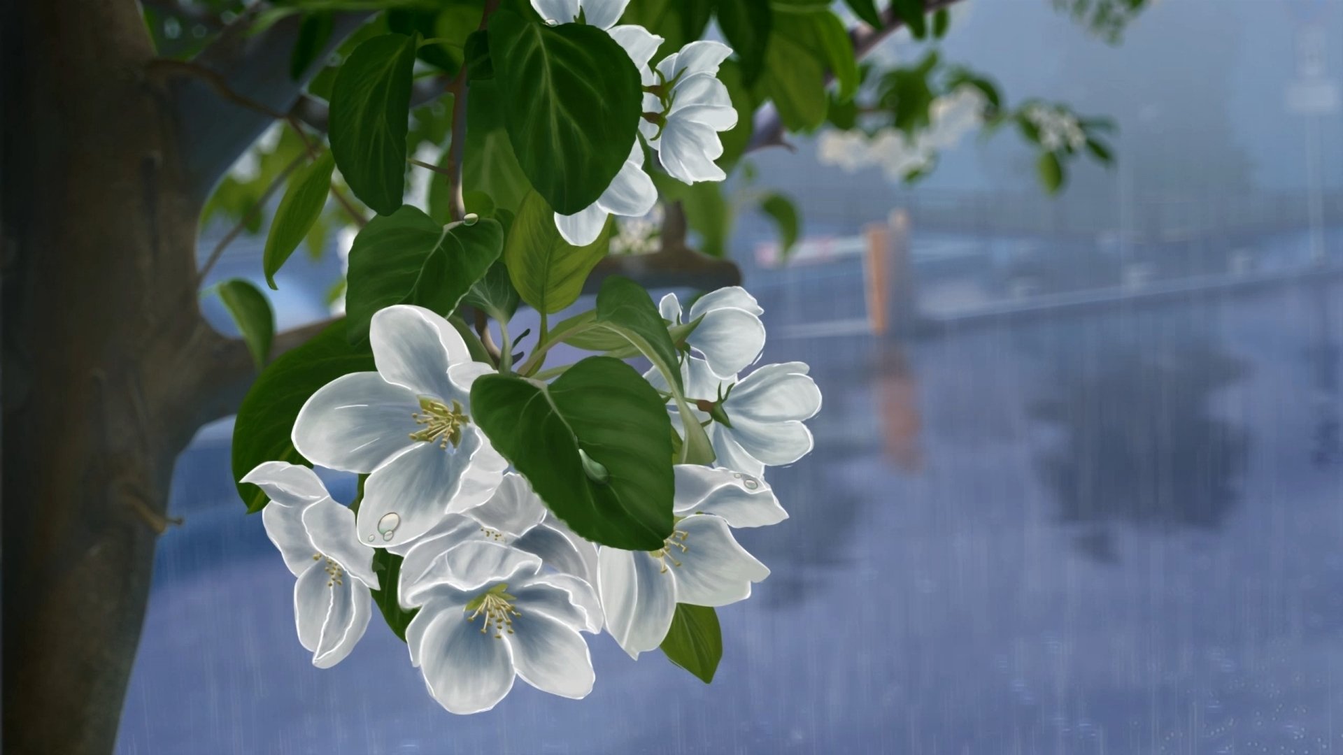 arte dibujo flores blanco árbol manzano lluvia gotas rama hojas