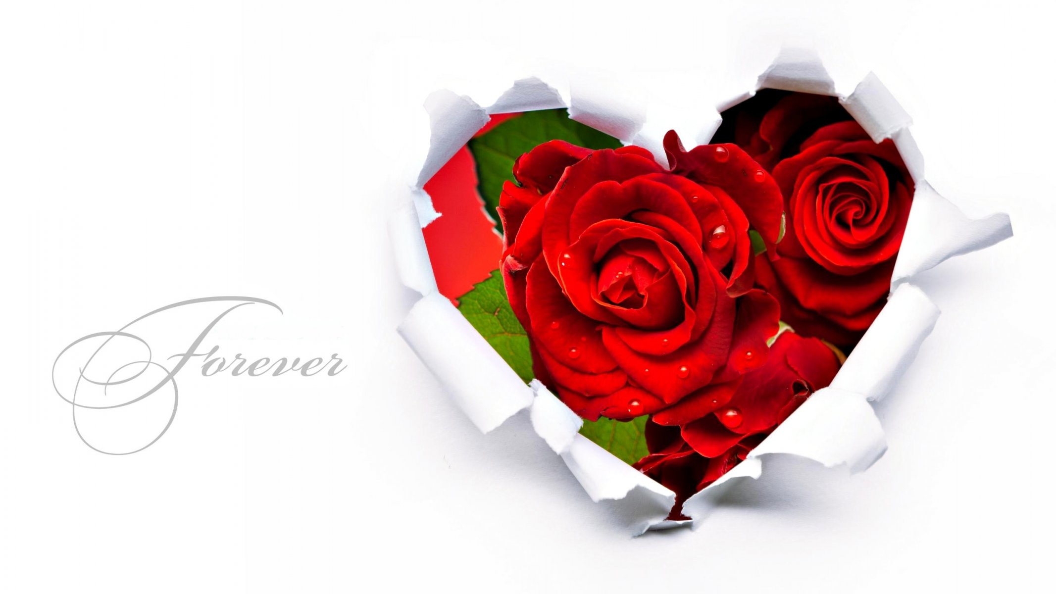 red flower roses forever heart