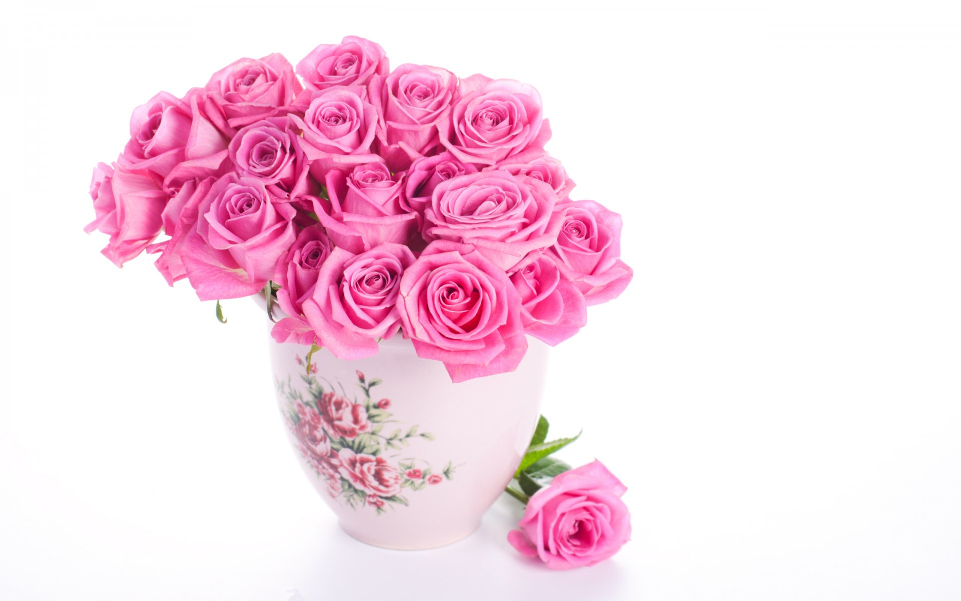 roses pink vase white background