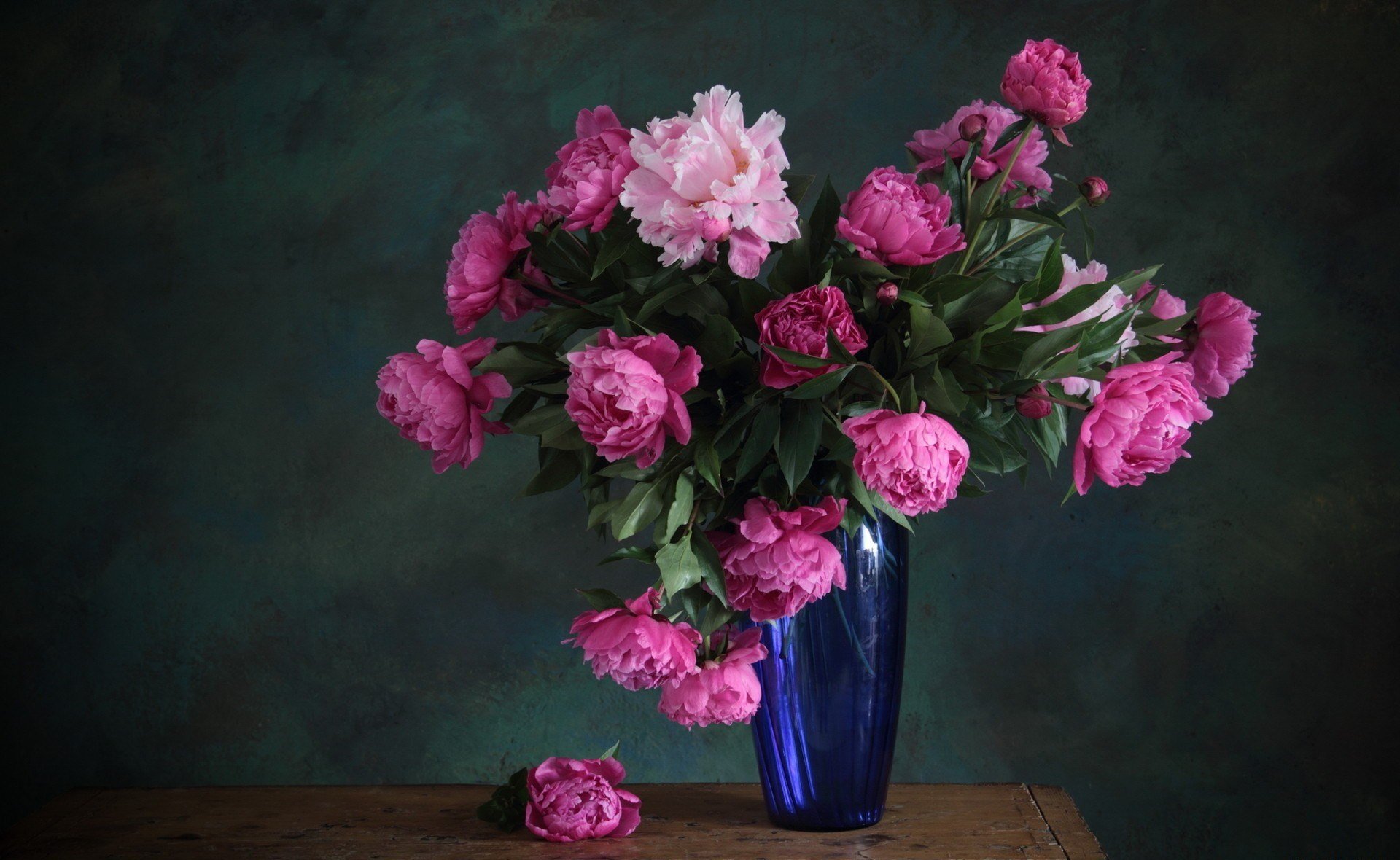 flower pink peonies bouquet blue vase