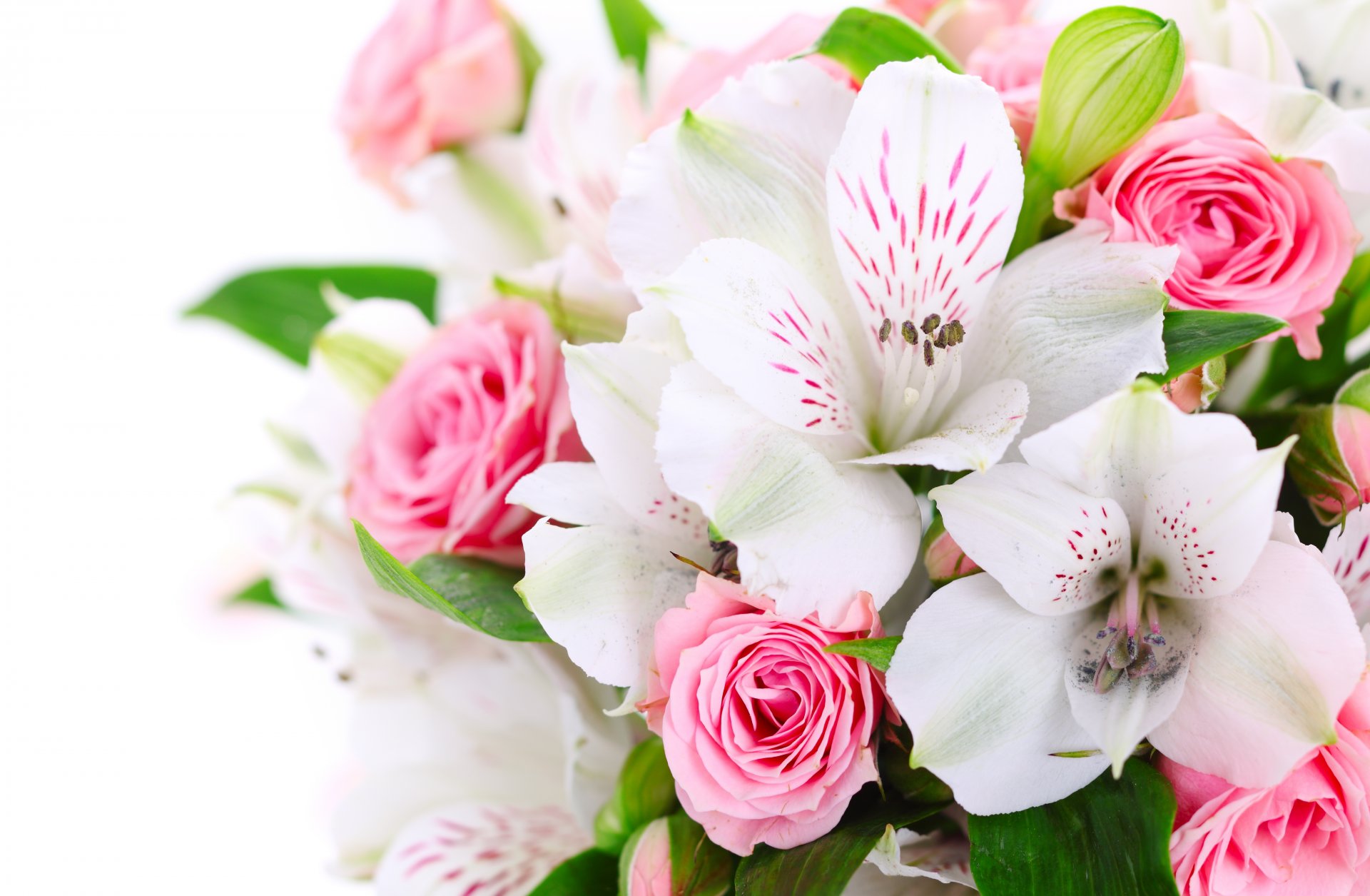 rose rosa orchidee bianco fiori bouquet