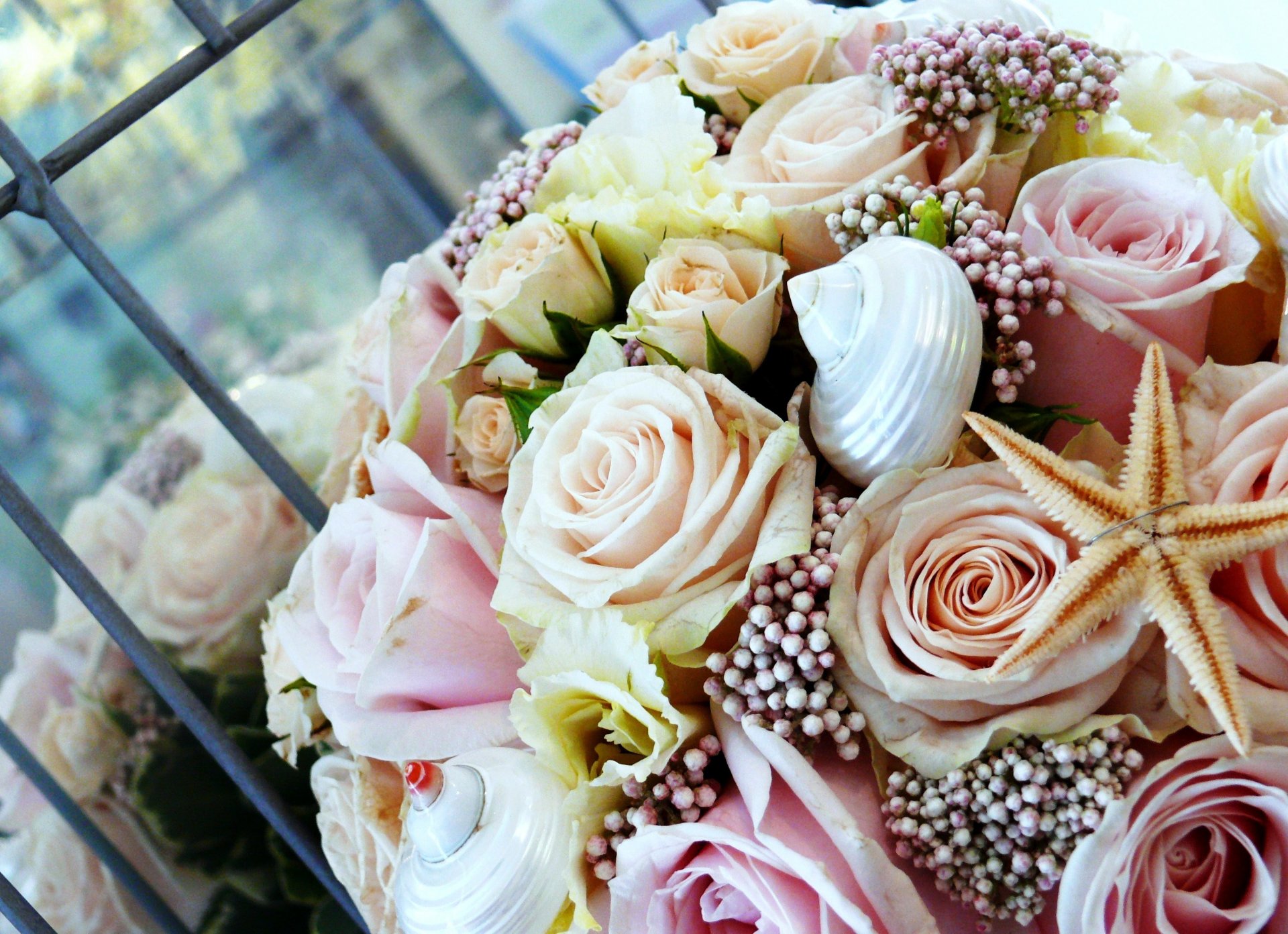 fleurs bouquet étoile de mer coquillage