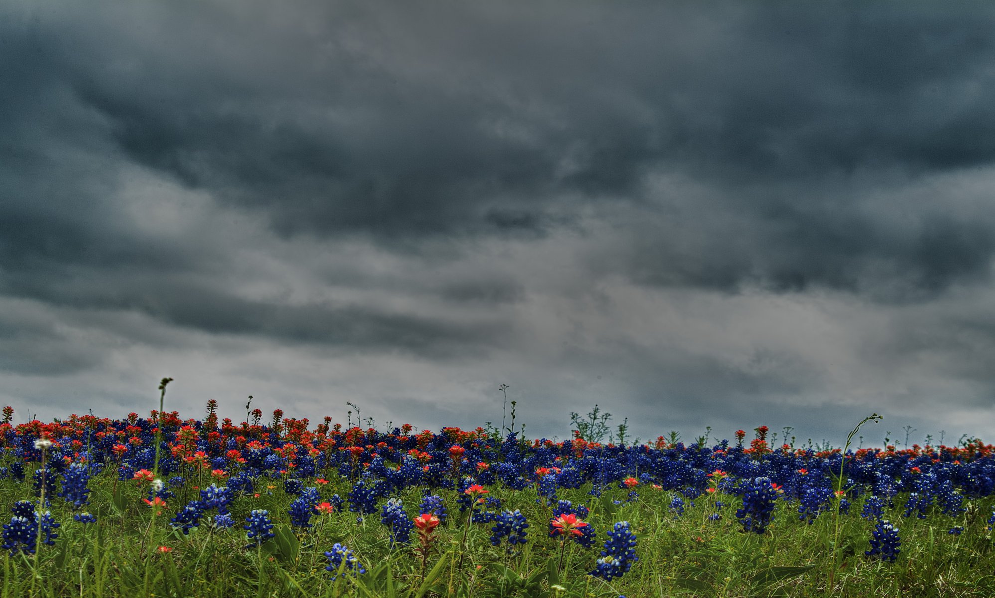 natur hdr farben blume blumen feld wiese himmel wolken cool schön felder wiesen schön cool gut