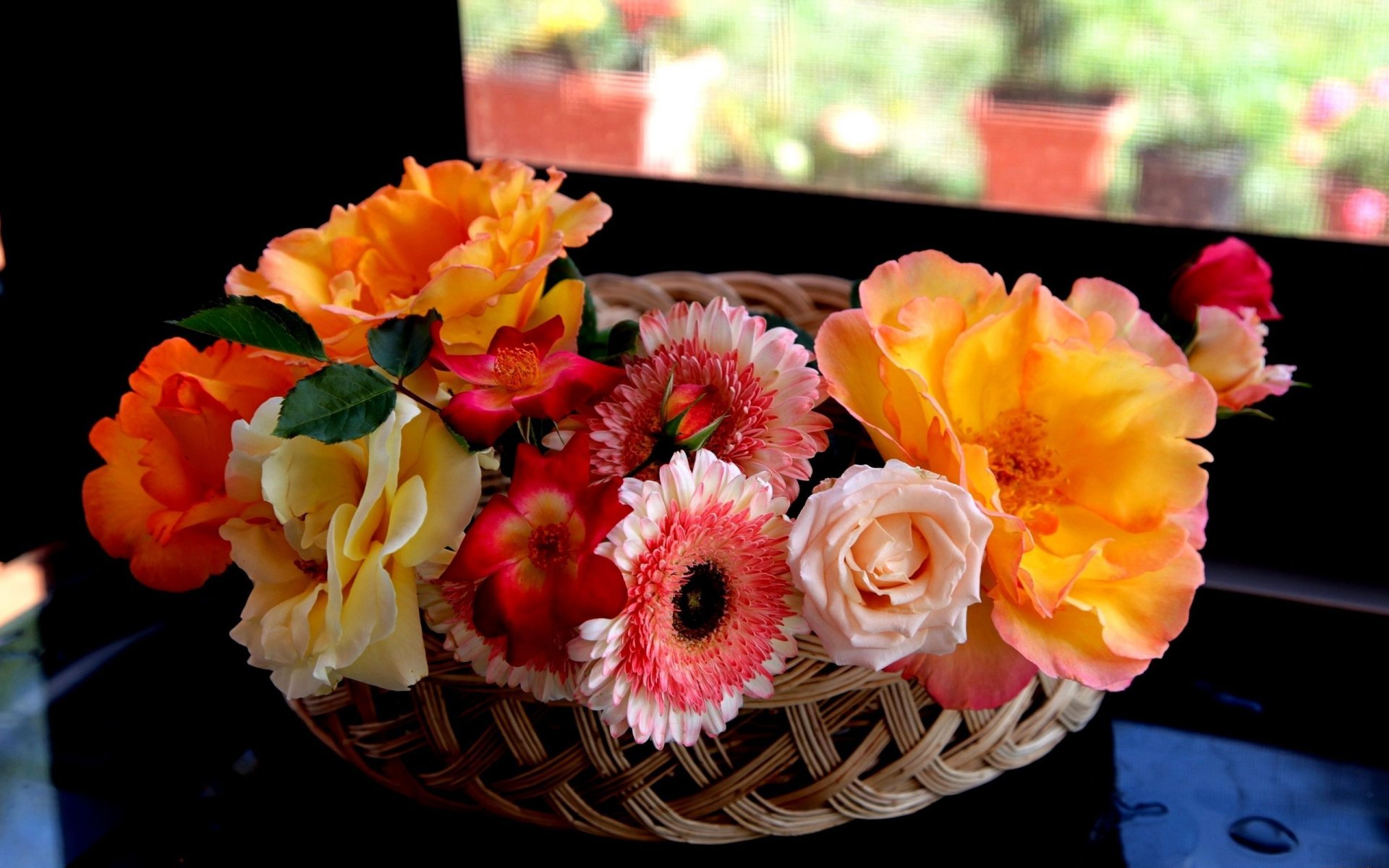 roses gerberas panier