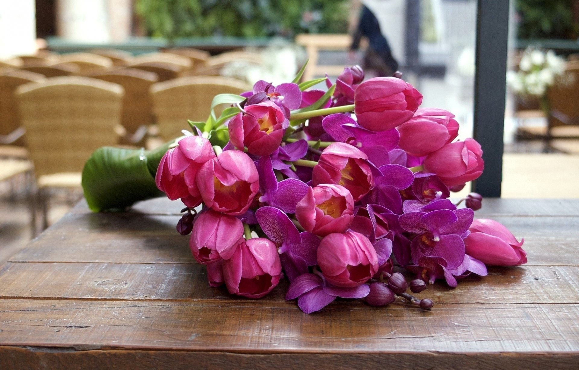 flower tulips orchid buds leaves petals pink bright solid flower