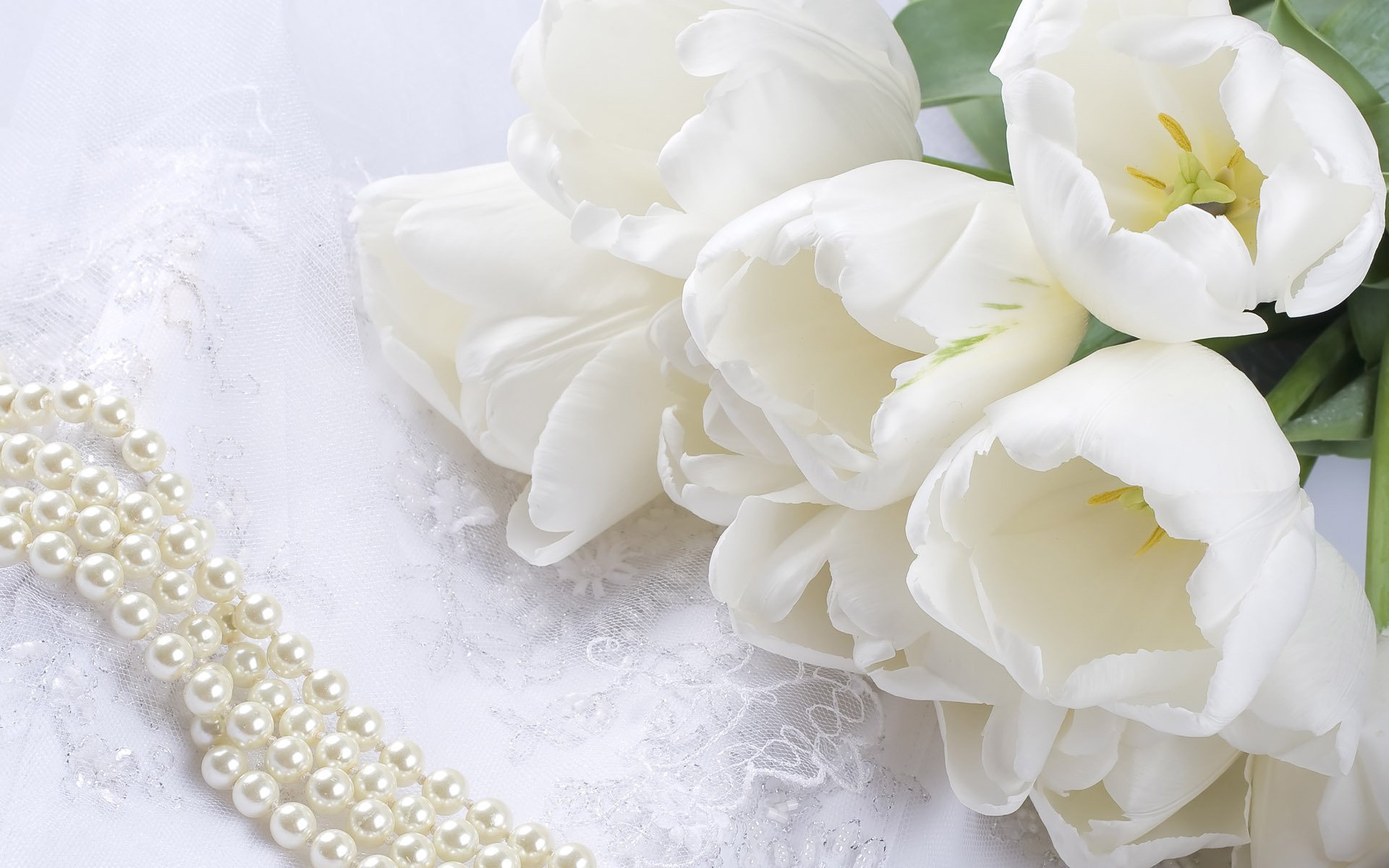 fleurs tulipes blanc dentelle perles perles bouquet