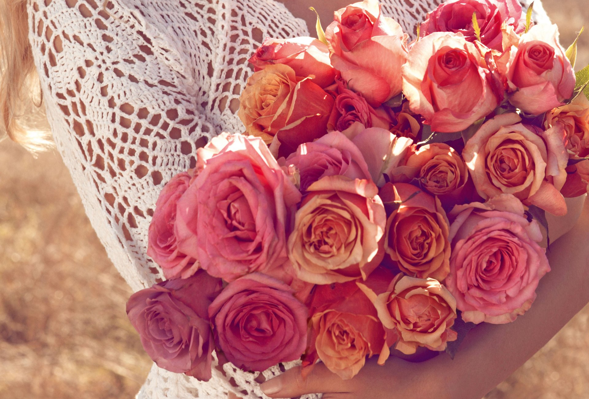 flower roses red bouquet