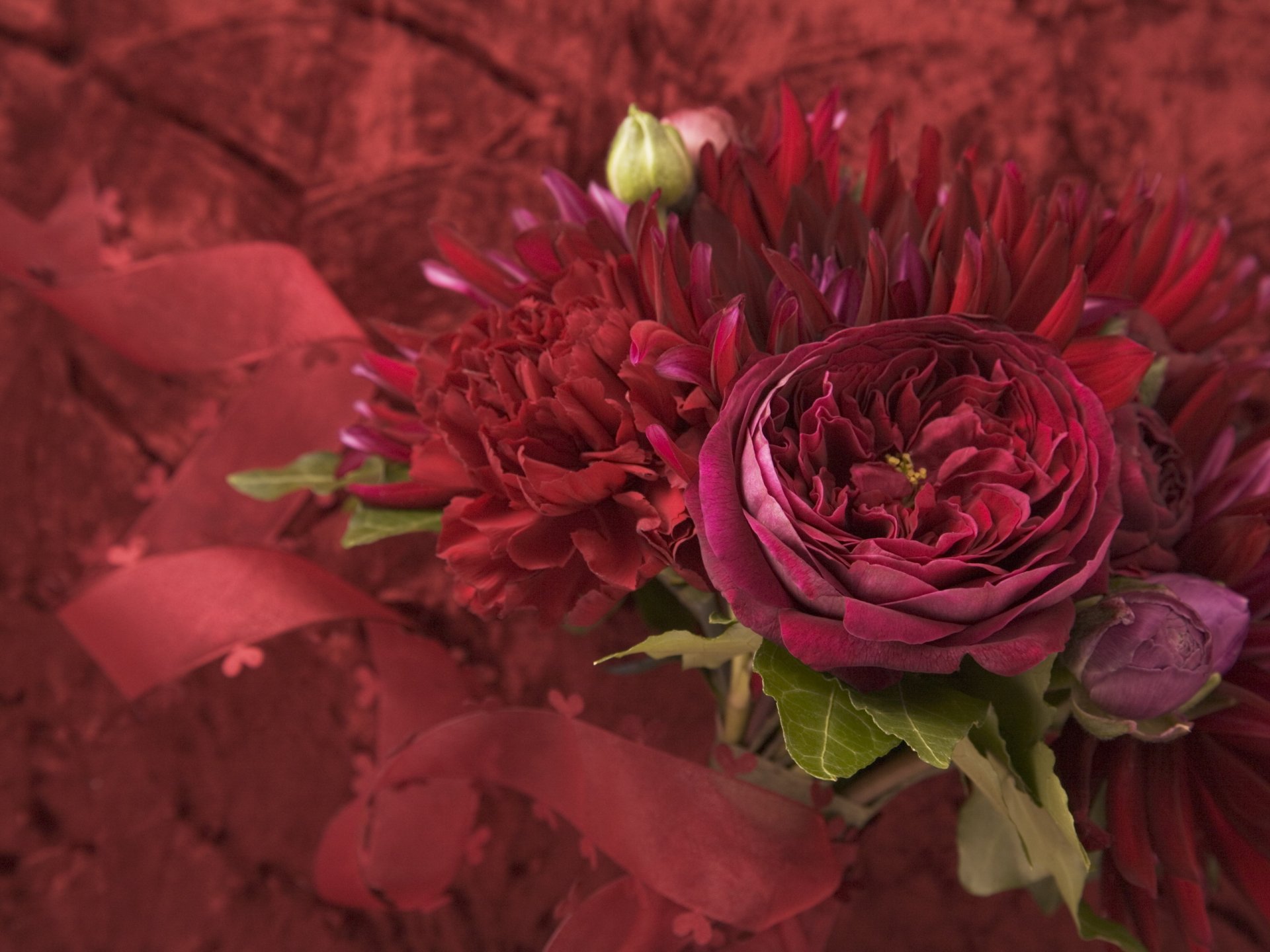 flowers bouquet burgundy crimson purple leaves petals macro