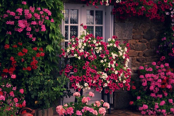 Blumen an den französischen Fenstern des Hauses