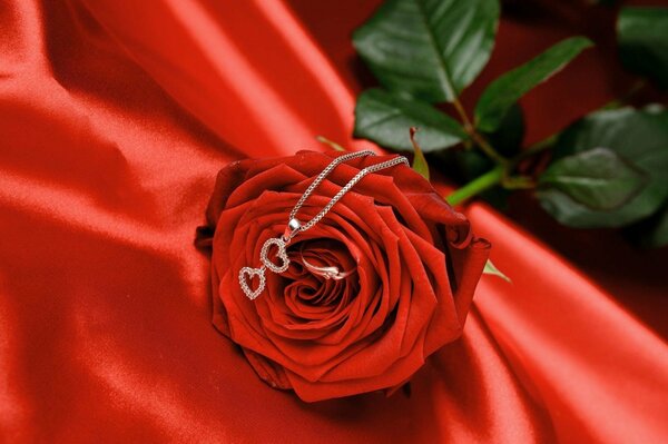 Pendentif coeur sur rose rouge