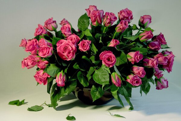 Bouquet of pink roses in a vase